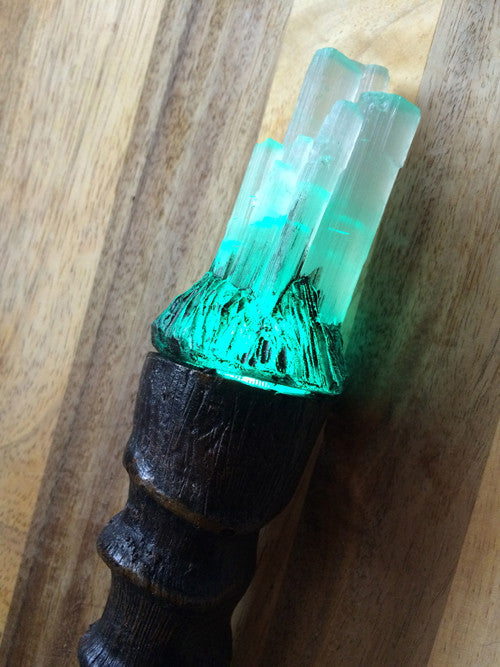 WIZARD WAND HORN SCONCE LIGHT